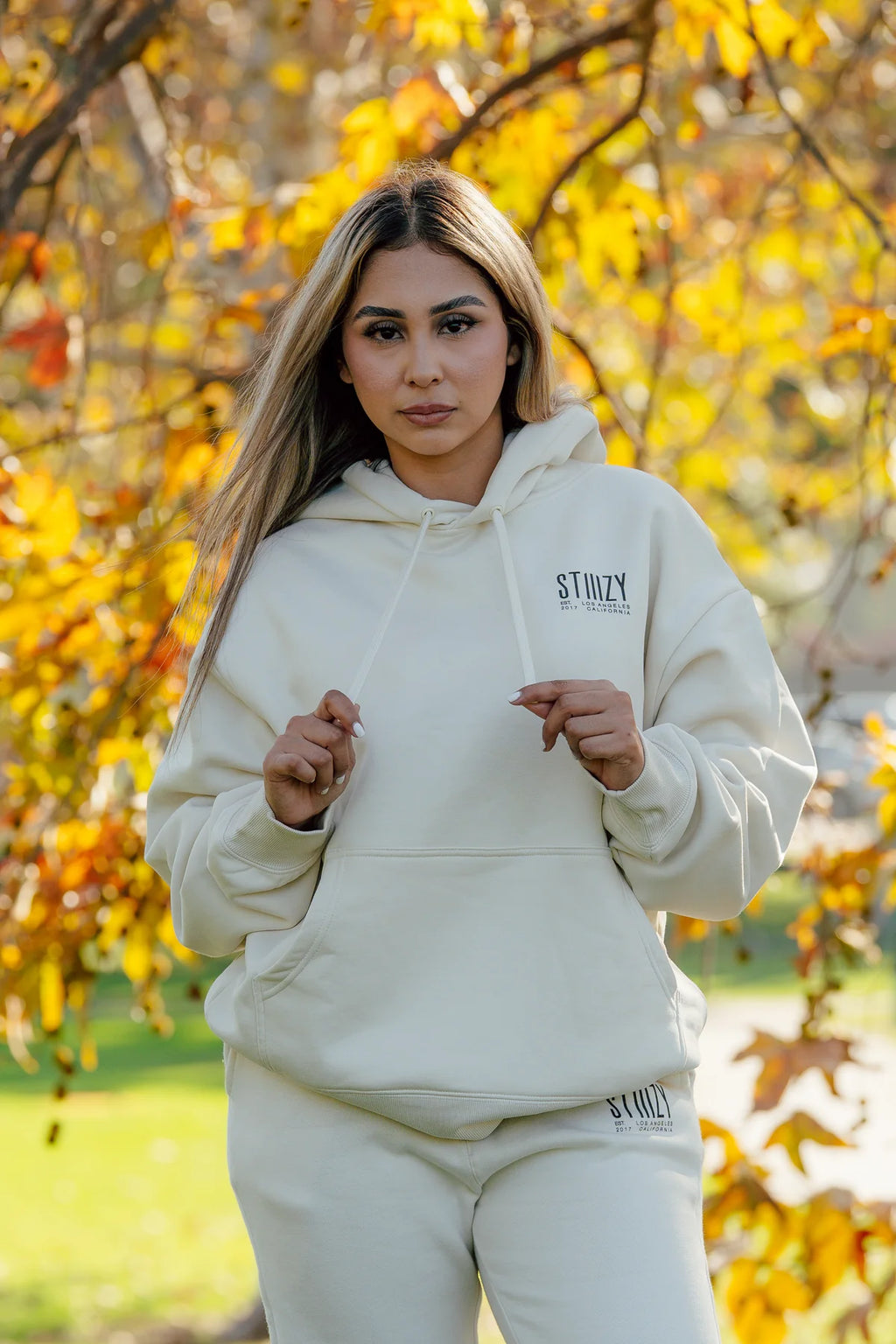 STIIIZY Always in Rotation Hoodie - Cream
