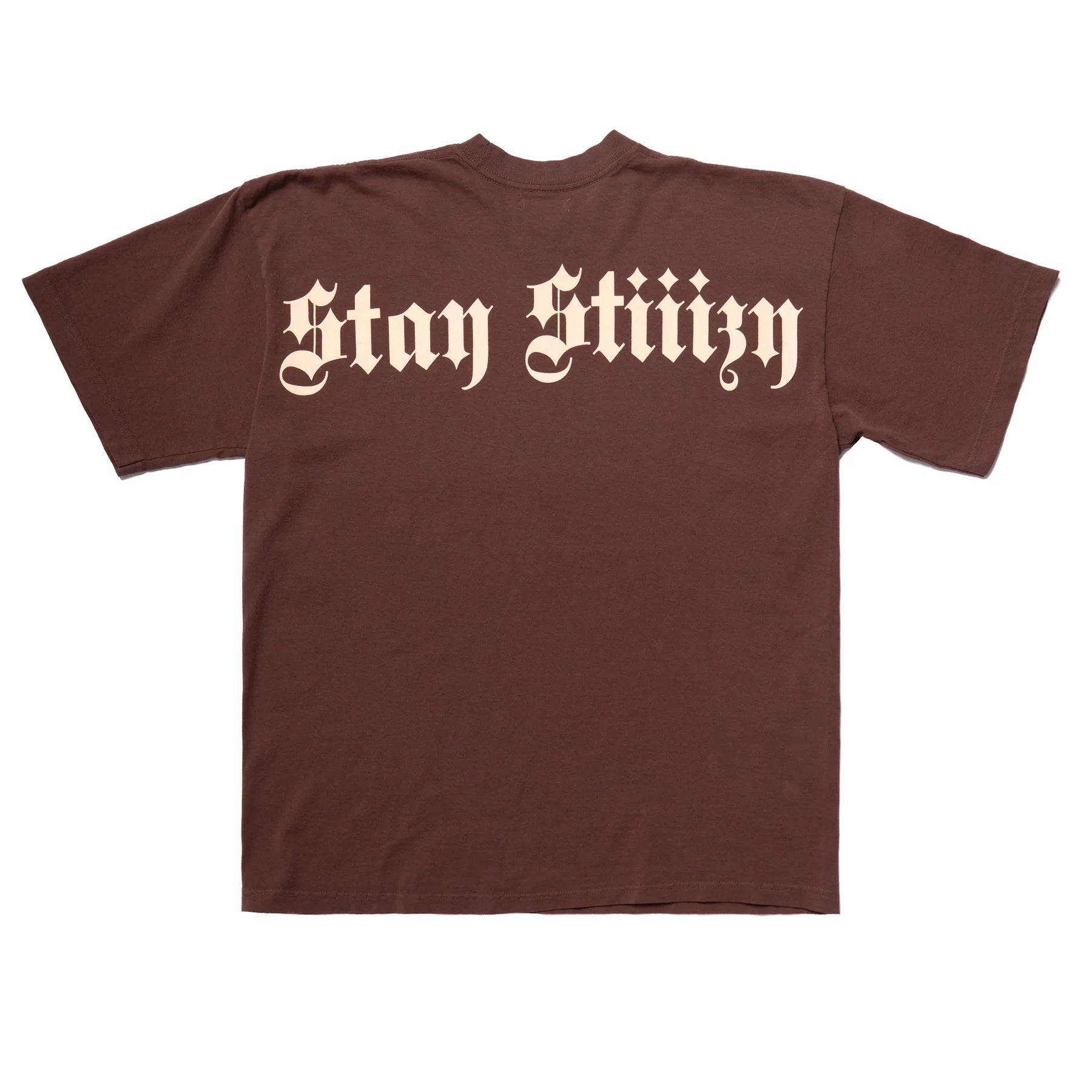 Stay STIIIZY Tee, Brown