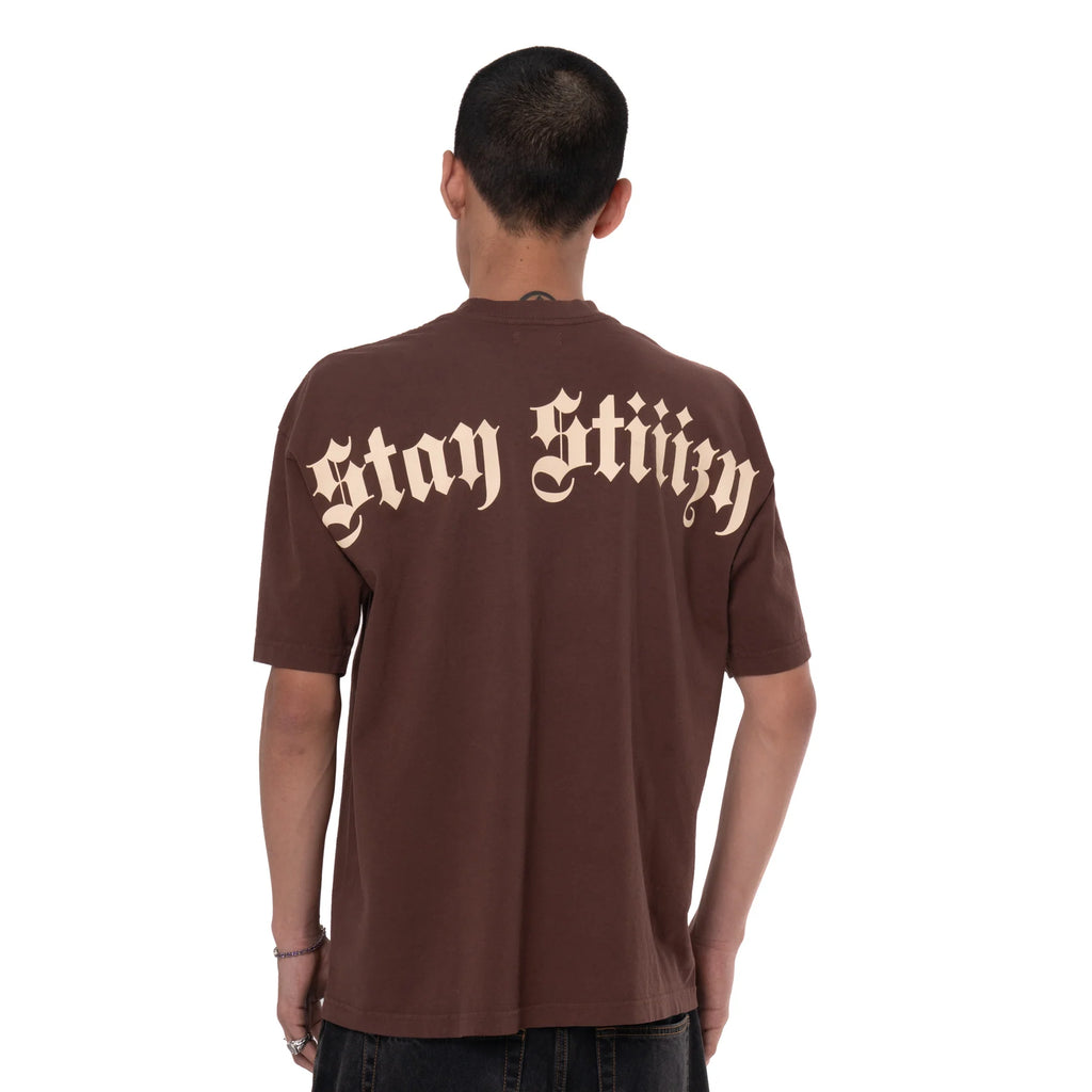 Stay STIIIZY Tee, Brown