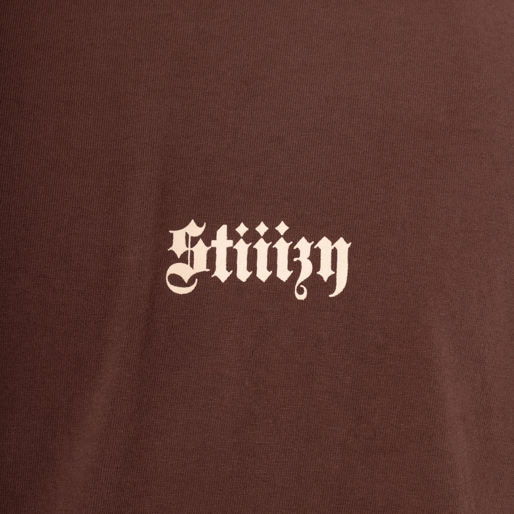 Stay STIIIZY Tee, Brown